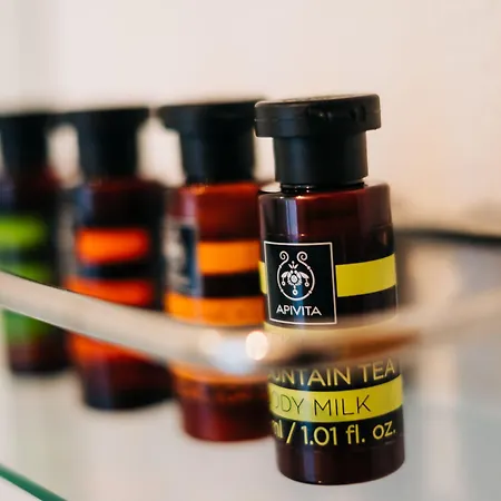 Mesanto Luxury ホテル メガロホリ